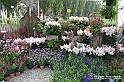 VBS_6568 - FLOREAL Ottobre 2022 - Tre giorni di fiori, piante e bellezza